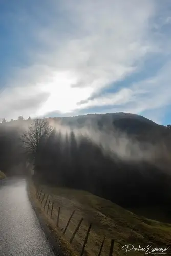 Brume