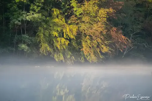 Brume sur la Dordogne