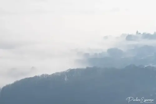 Brume