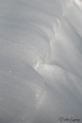 Neige
