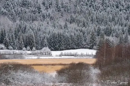 Paysage dans l'Ain